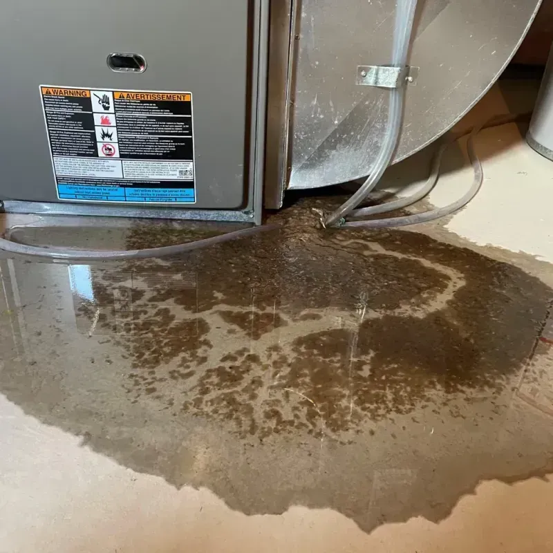 Appliance Leak Cleanup in Bellevue, MI